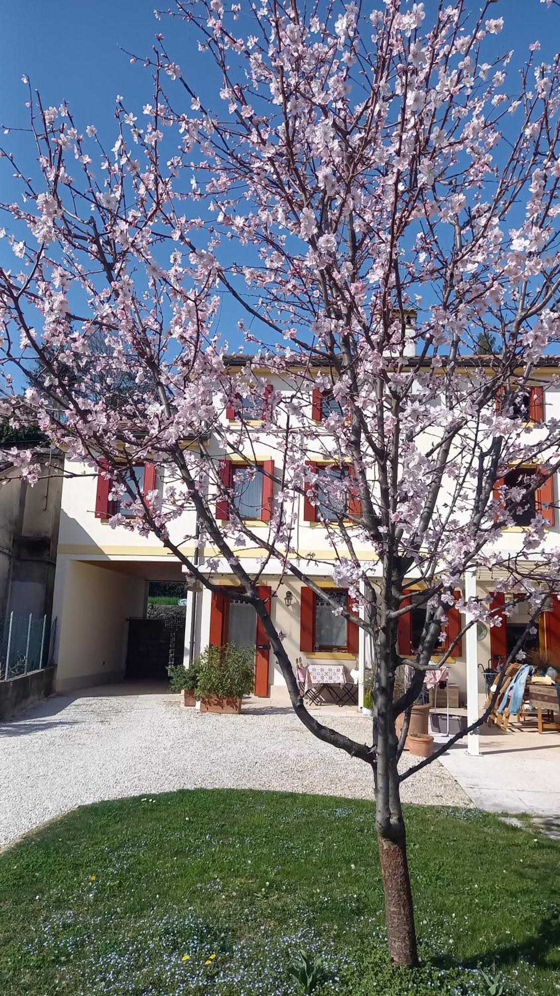 Holiday home Beb - San Gallo *
