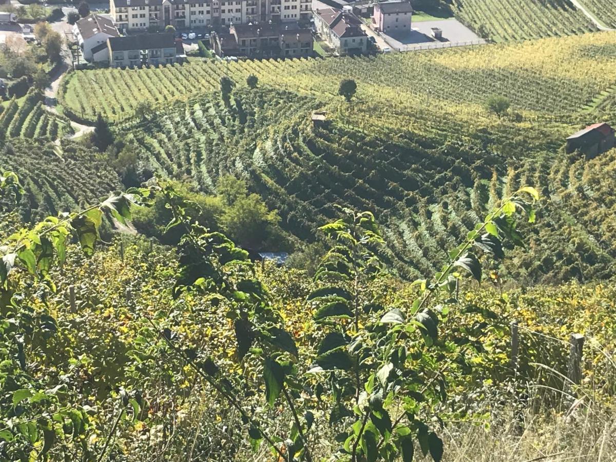 Beb - San Gallo Holiday home Farra di Soligo